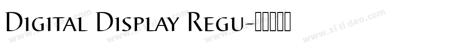 Digital Display Regu字体转换